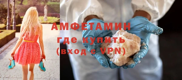 гидра Каменногорск