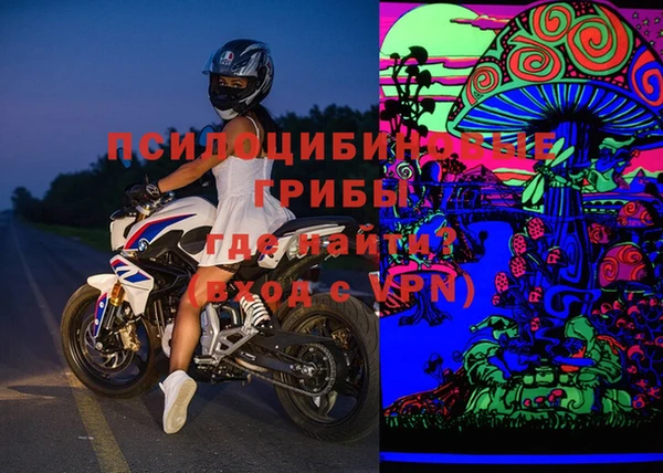 гидра Каменногорск